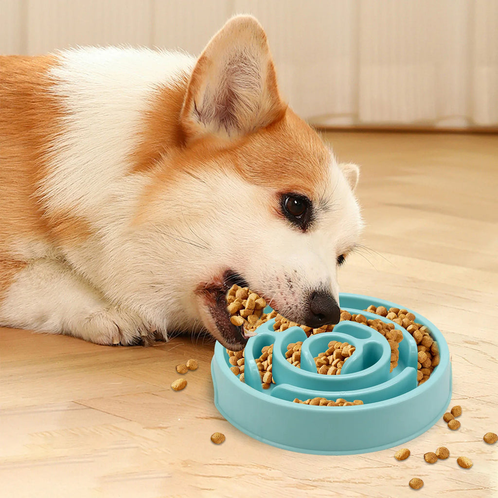 Slow Eating Pet Bowl