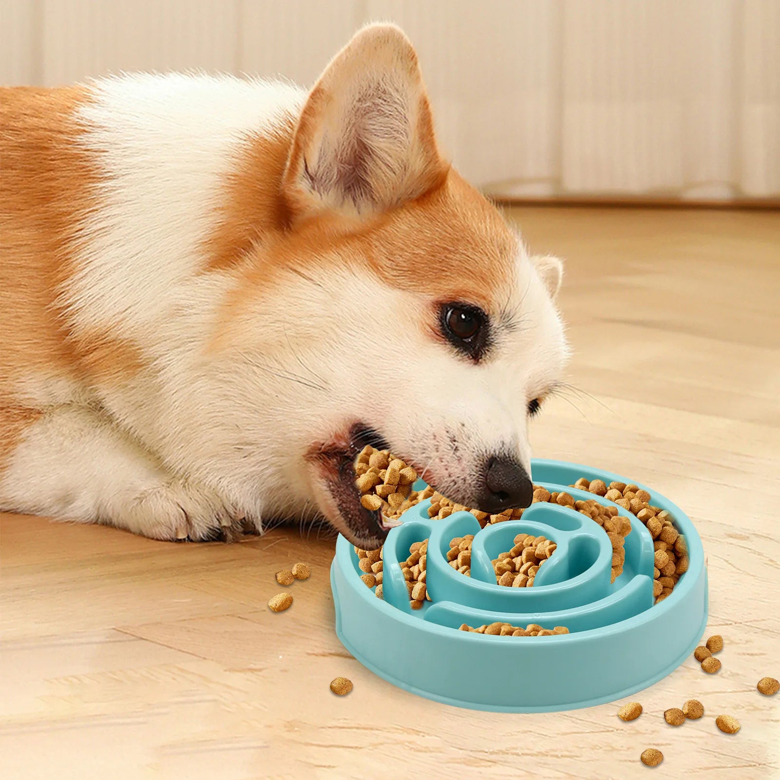 Slow Eating Pet Bowl