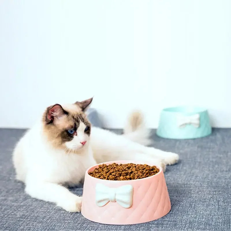 Single Plastic Pet Bowl with Bow Design